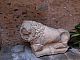 009 - lion etrusque du IVeme s. a.C..JPG